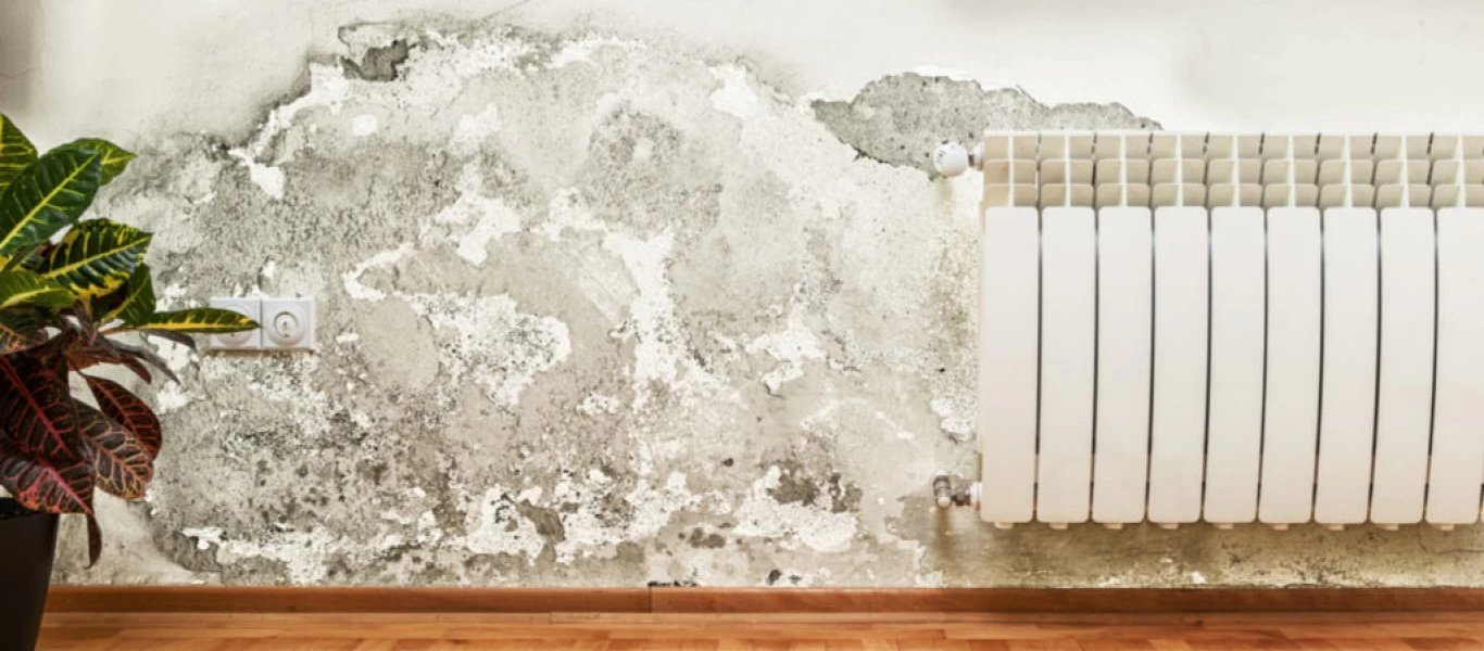 Οι επιπτώσεις της υγρασίας στην υγεία μας